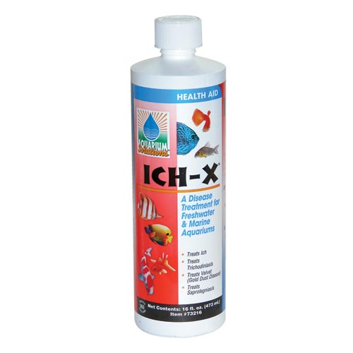 Hikari ICH-X