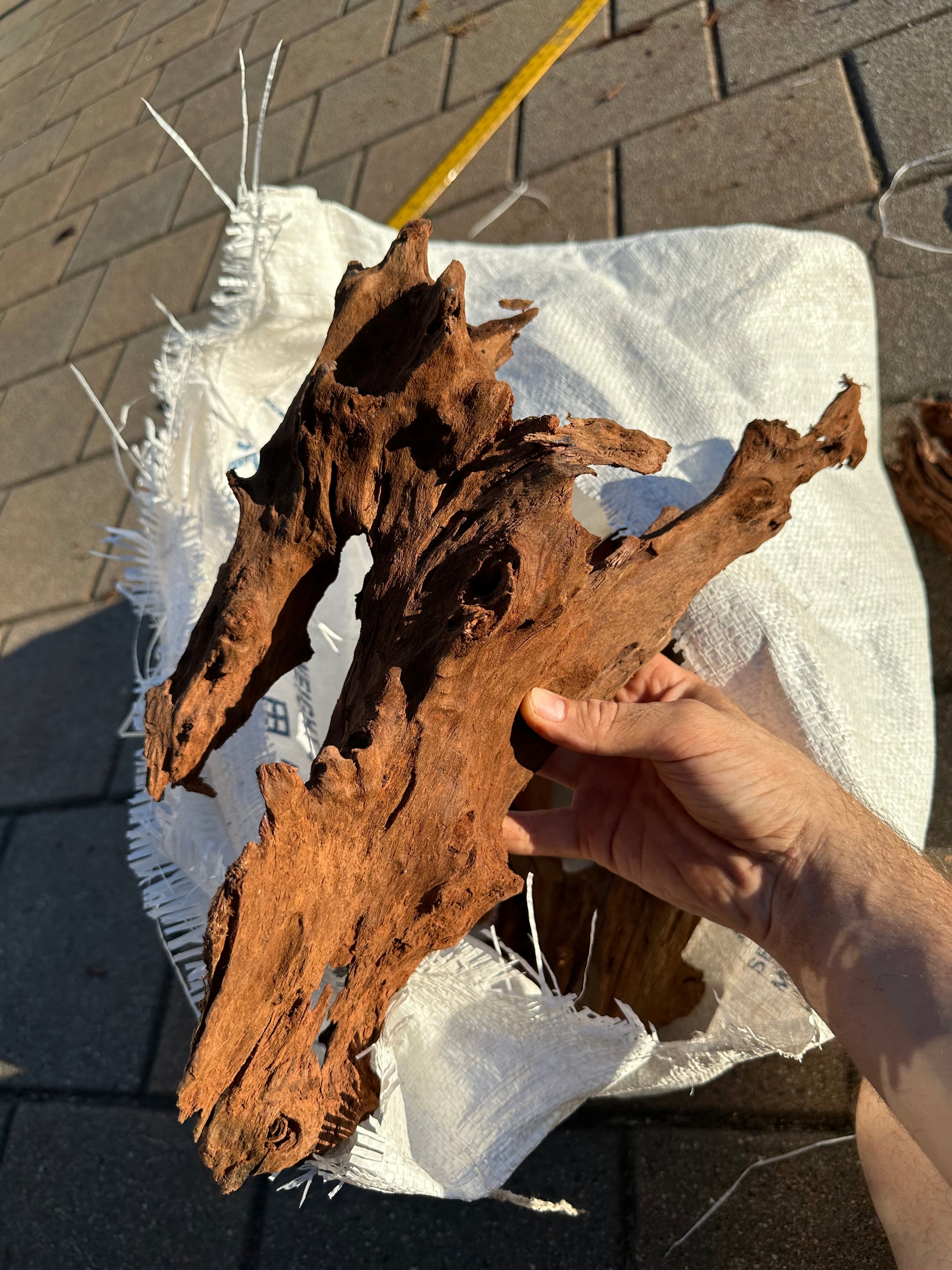 Malaysian Driftwood-Large Mixed Bag