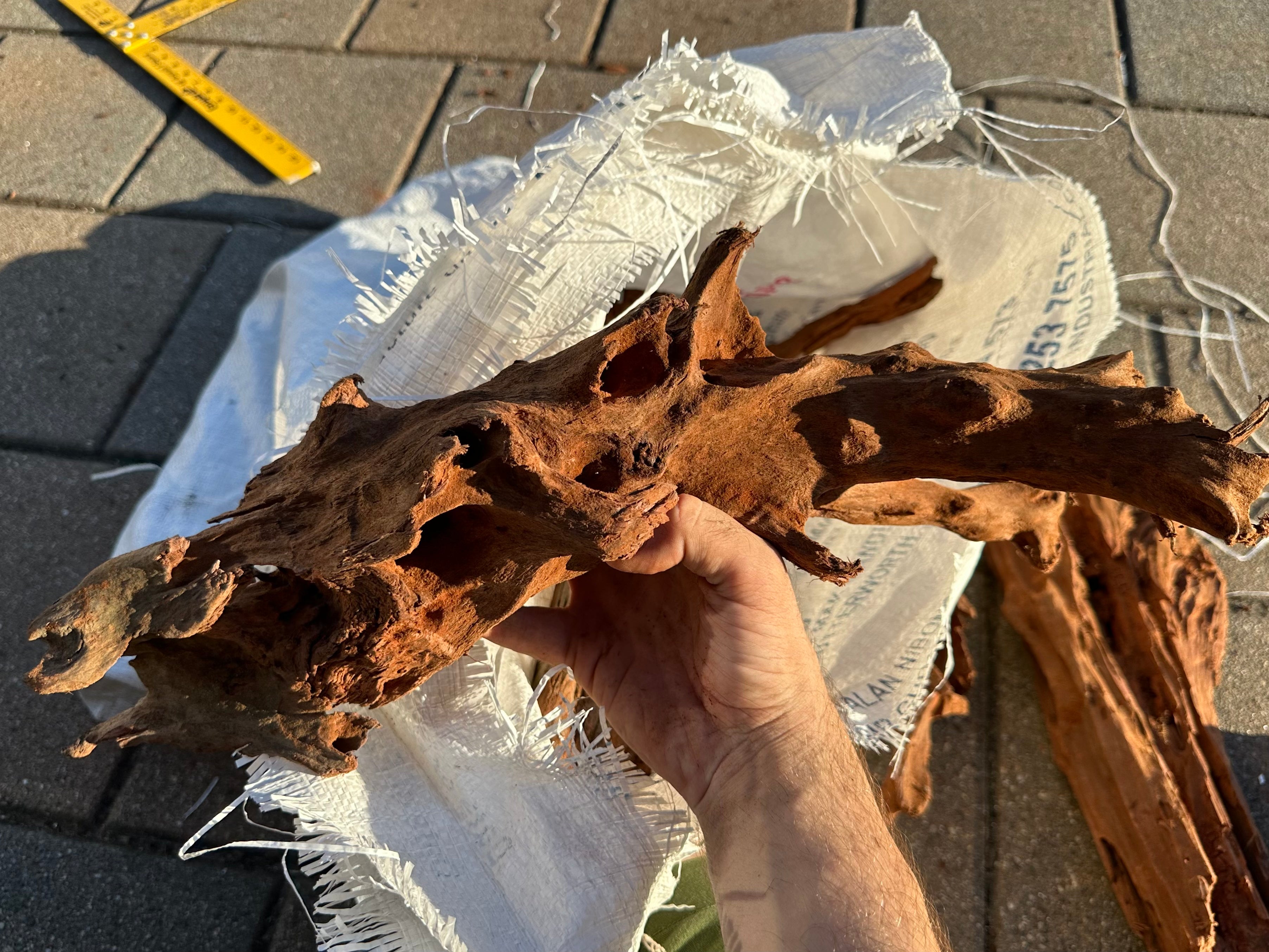 Malaysian Driftwood-Large Mixed Bag