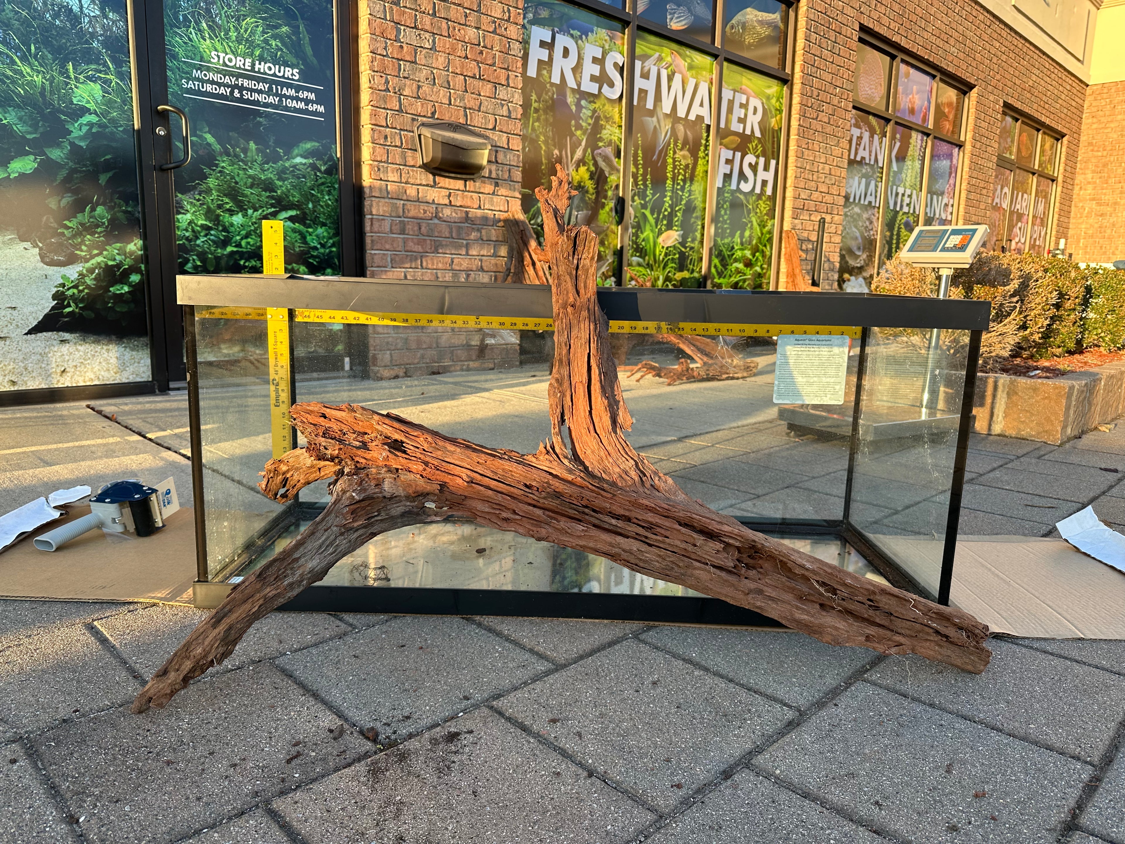 XL Malaysian Driftwood