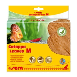 Sera Catappa Leaves