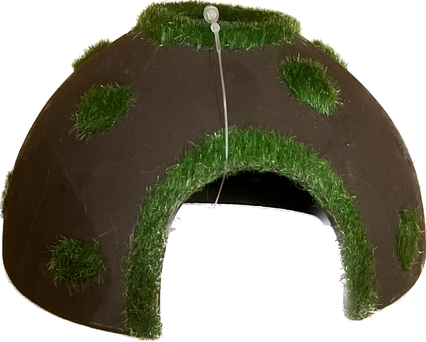 UT Mossy Coconut