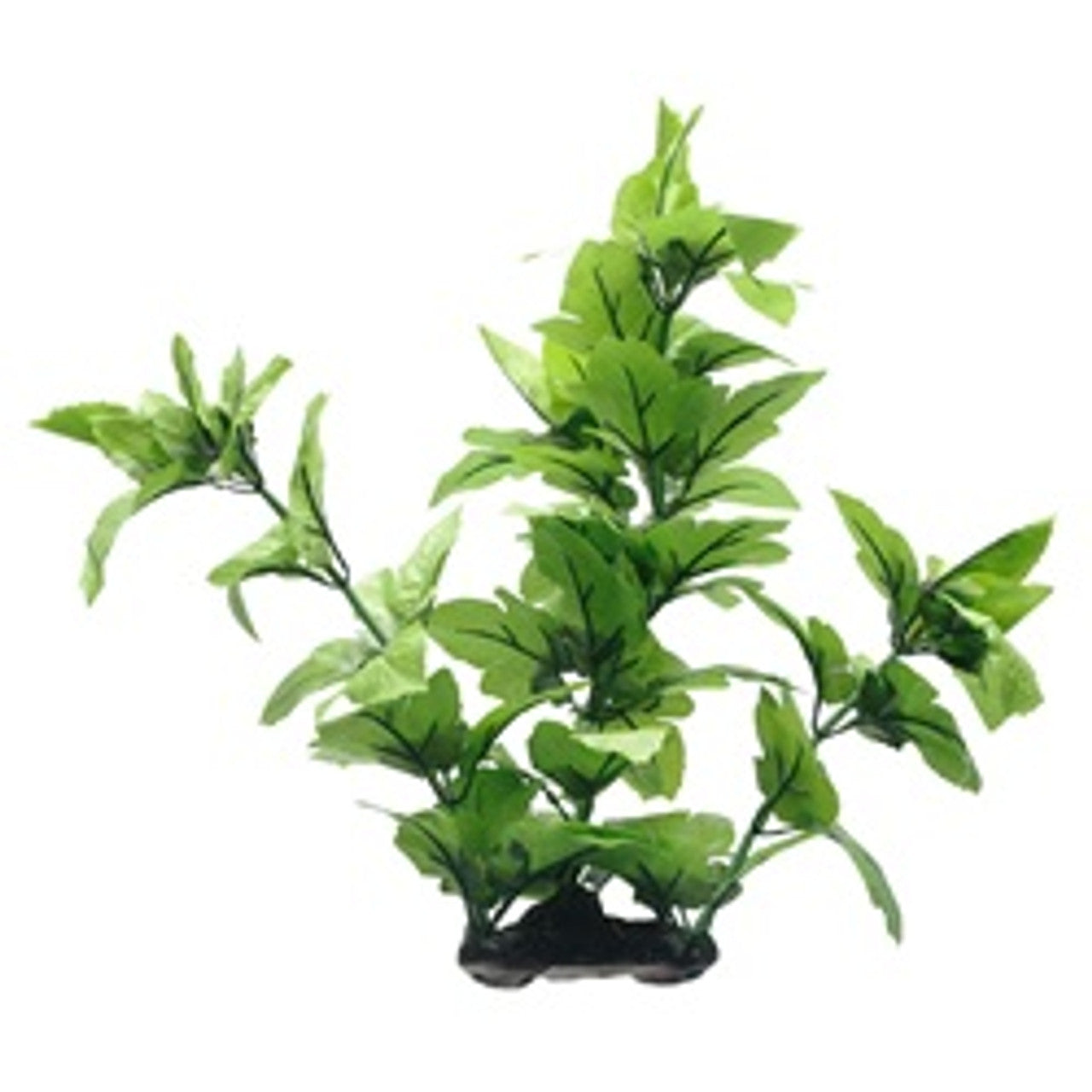 Fluval Decorative Plants-Lizards Tail With Base (16”)