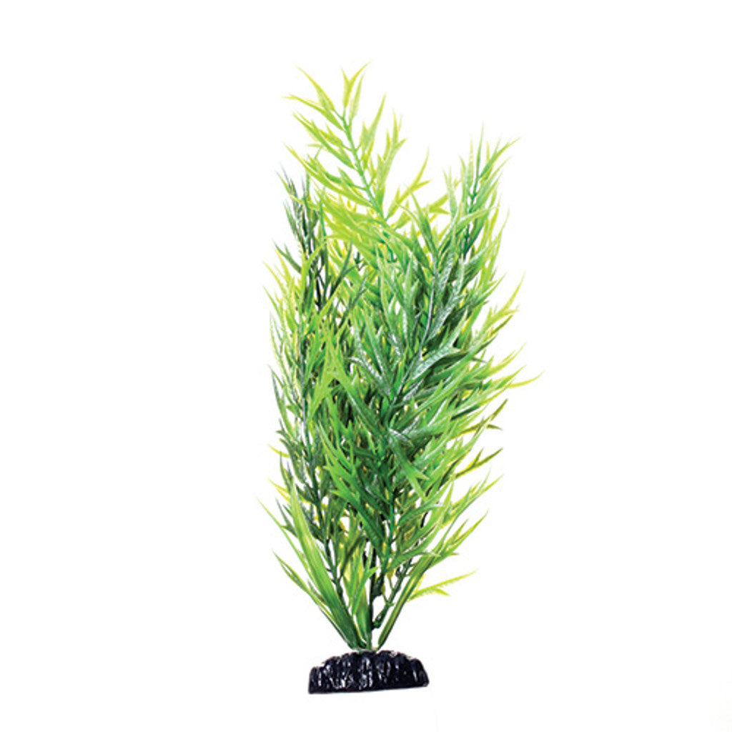 UT Green Bamboo (12”)