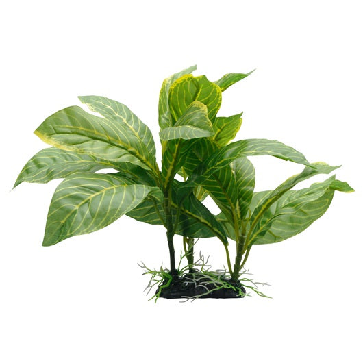 Fluval Decorative Plants-Yellow Stripe Spathiphyllum (9”)