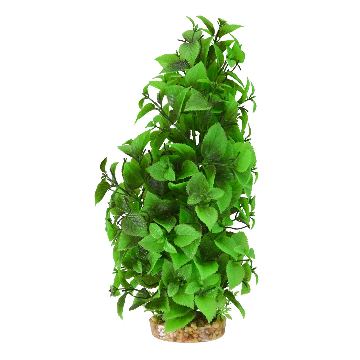 Green Ludwigia-Tall