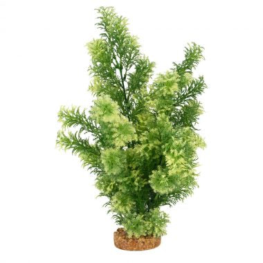 Fluval Decorative Plants-Limnophilia (14”)