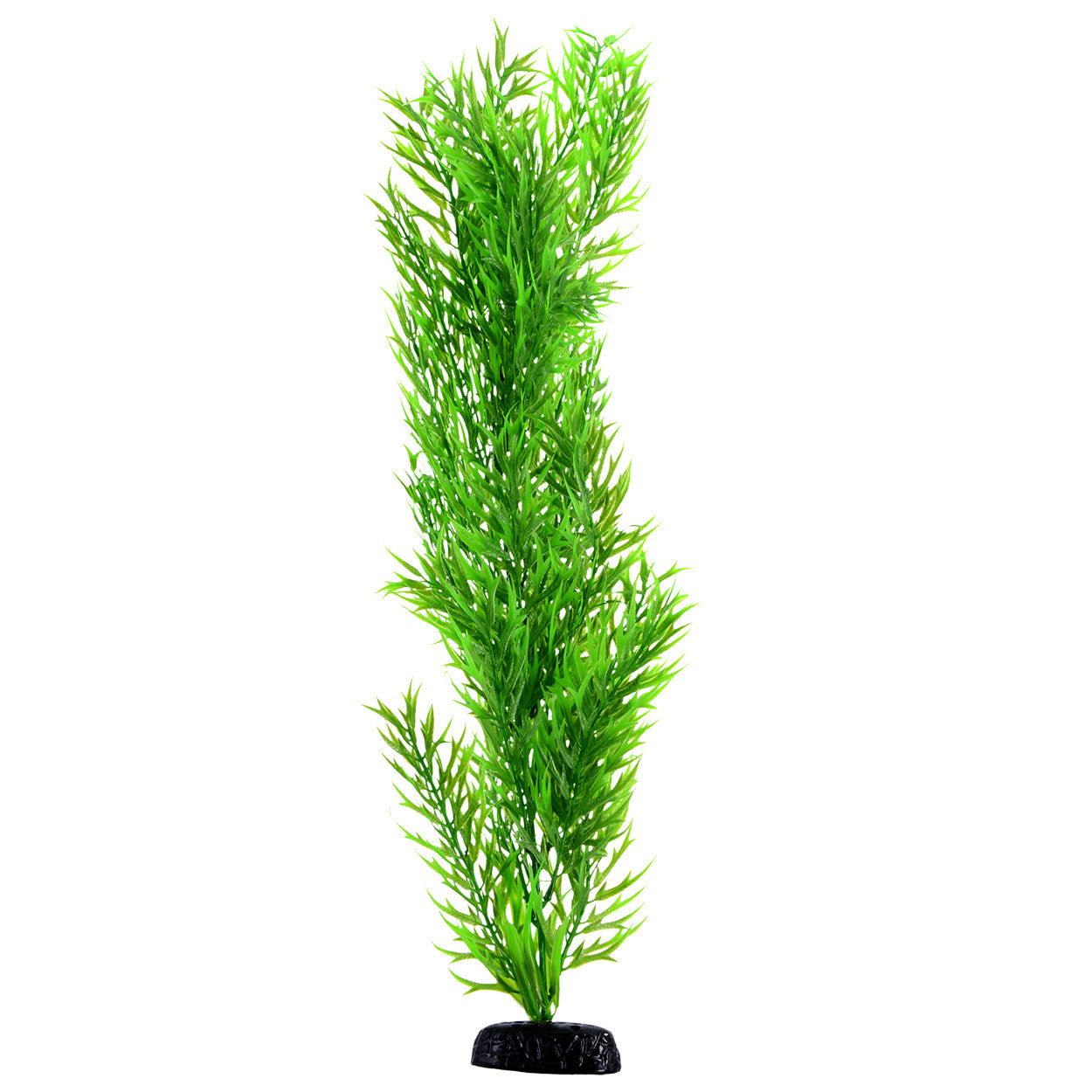 UT Green Bamboo (24”)