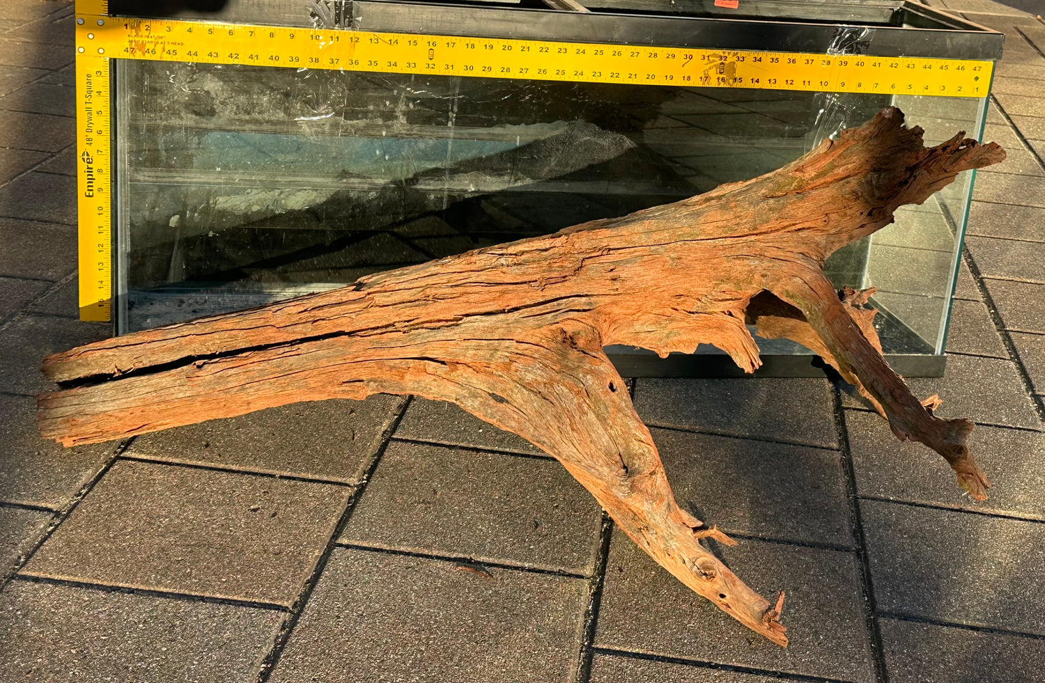 XL Malaysian Driftwood 