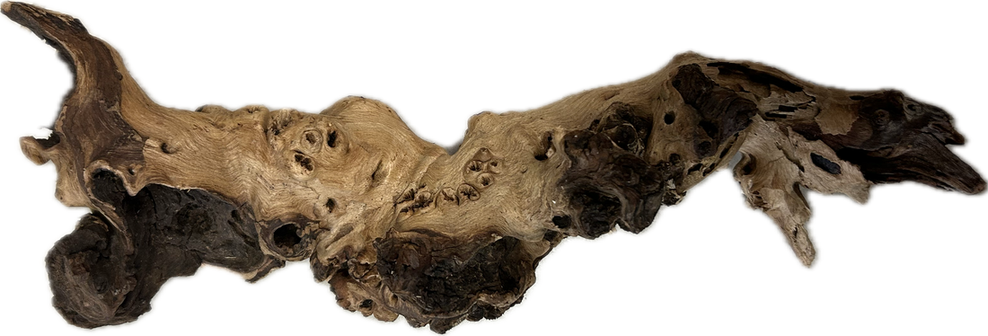 Mopani Driftwood (sold by the pound)