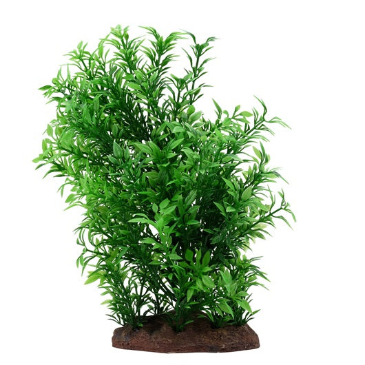 Fluval Decorative Plants-Helzine Plant (8”)