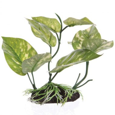Fluval Decorative Plants-Lizards Tail With Base (6.75”)